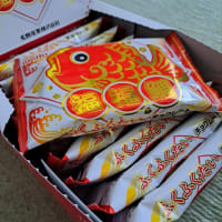 ゲットした！