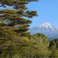 道の駅なるさわ車中泊
