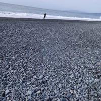 ２０２５年初夏＠西湘サーフルアーフィッシング