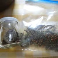 七色野草茶