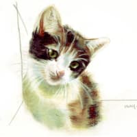 多謝！　ブルネロさん。　Baby Yukke-chan 詰め合わせ（再アップ）　(=^^=)