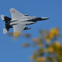 ２０２４年　「千歳のまちの航空祭」（Ｆ１５機動飛行・予行）　０３