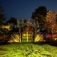 高台寺　夜間拝観プロジェクションマッピング