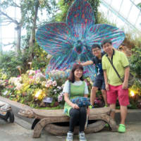 Cloud Forest @ Gardens by the Bay