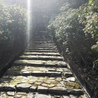 選挙終わった！