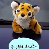 お引越しのお知らせ。