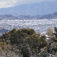 大雪警報～～