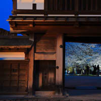 松代城のライトアップ１