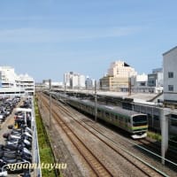 平塚市唯一の旅客駅「平塚駅」を撮る！！