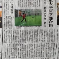 嬉しいニュース