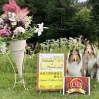 長野支部訓練審査競技会＆特別訓練競技会兼二次審査会