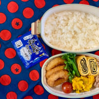 イカリング弁当