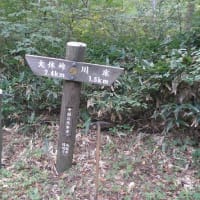 中国自然歩道紹介　４回目（大休峠～香取分岐点まで）