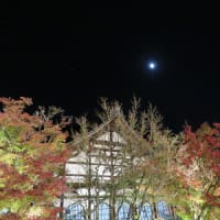 そうだ、紅葉めぐりだ！