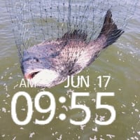 君よ六月に熱くなれ