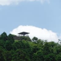 金命水（金御岳）の湧水状況は？