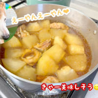 暑い夏にはこれよ