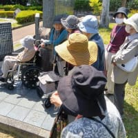 百歳の森散策