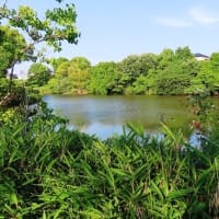 家原大池公園から神野公園