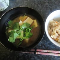 夫不在中のでき事と、一人ご飯。家庭菜園の厳しさ。