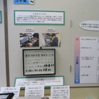 企画展　ゴキの真実「のぞいて楽しむゴキブリの世界」（2025）・・・鹿児島県立博物館