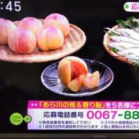 8/3・・・旅サラダプレゼント(月曜朝9時まで)