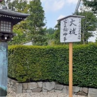根津神社 夏越しの大祓