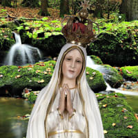  ファチマの聖母マリア 1-2
