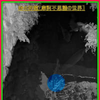 🐉🌈〖日蓮大聖人〗由来の清流に【龍神様】出現❢❢