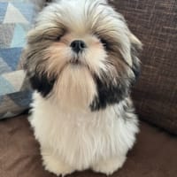 目が分からない。