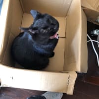 虹に輝くガラスにつめて