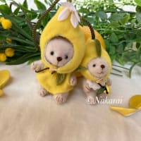 第35回テディベアwith Friendsコンベンション出品作品のご紹介〜♪