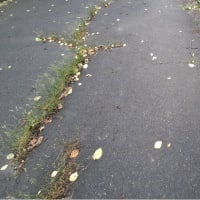 梅雨明けと聞いたけど