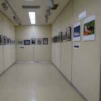 4月29日～5月3日　第30回全日本写真連盟佐久支部写真展　