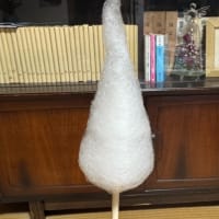 実家餃子といつもの定点観測