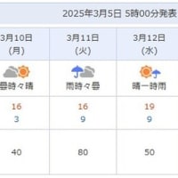 今日も雨です・・・・