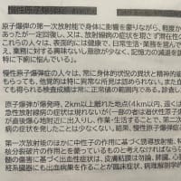 明日に向けて(2512)村田三郎さん講演録をお聞きください！ー放射線被曝からの命の守り方についての掘り下げを進めています！