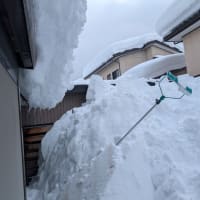 もうクタクタ(´；ω；`)ｳｩｩ