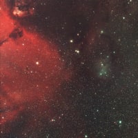 IC 2169 反射星雲