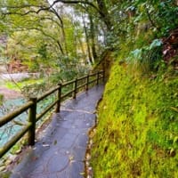 同窓会で永平寺と山中温泉へ