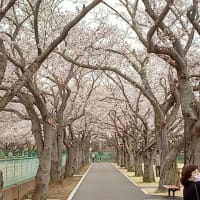 今日から４月