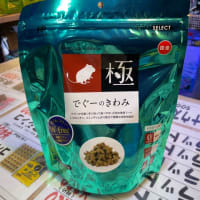 ハイペット　でぐーのきわみ　300g