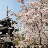 小関越で花の京都へ