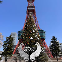 花言葉は　『青春の喜び』