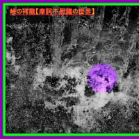 🐉🌈湧水・清流に【👼精霊✨】出現❢❢