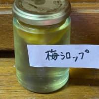 いただきもの　梅シロップ