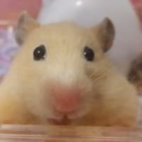 一寸先は・・・