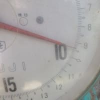 更に大きい！！