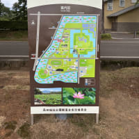わりと日陰もあるから朝一のおでかけは涼しいかも