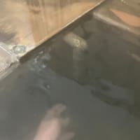 【池の平温泉 ホテルヴィレッジ圓山】★3 新潟県妙高市
